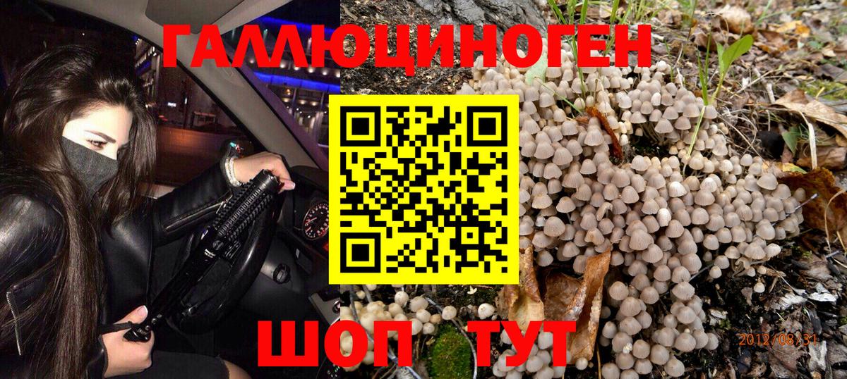 Псилоцибиновые грибы ЛСД Гулькевичи